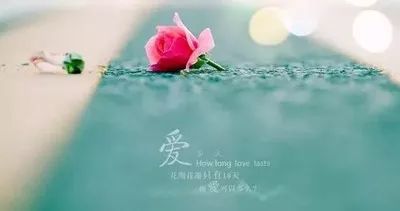真心想你简谱_想你的时候问月亮简谱