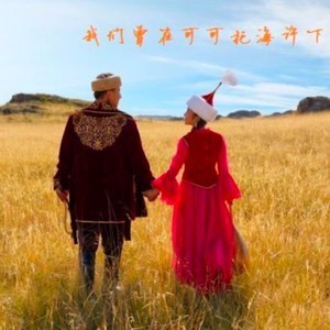 可可托海牧羊人口琴伴奏带_可可托海的牧羊人图片(3)