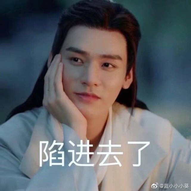山河令追剧表情包
