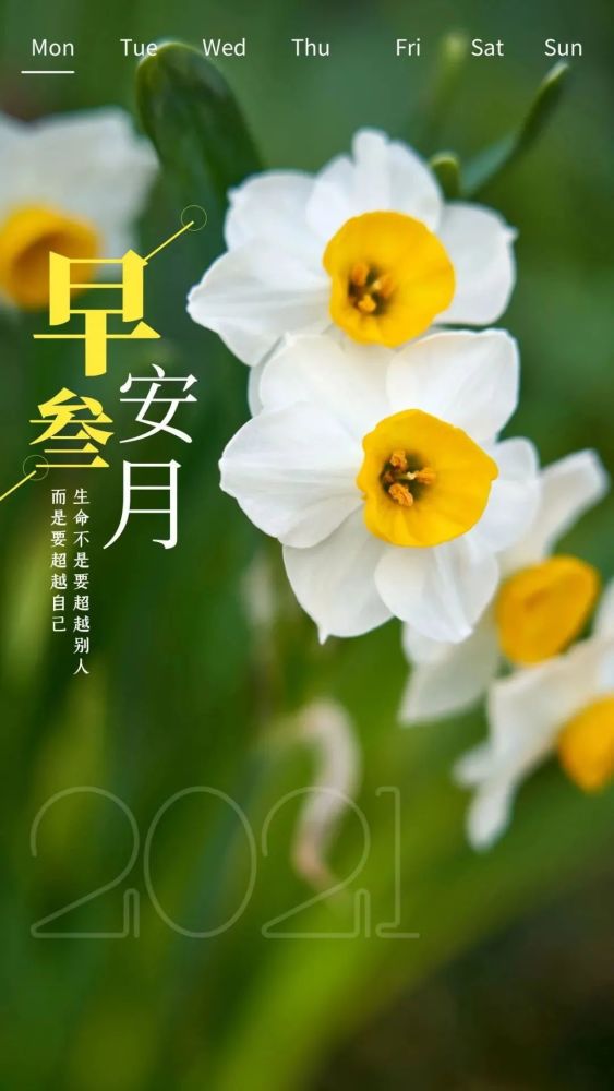 3月2日早安日签图片带正能量文字,三月朋友圈阳光问候