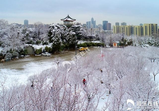 高清组图:梅花傲雪