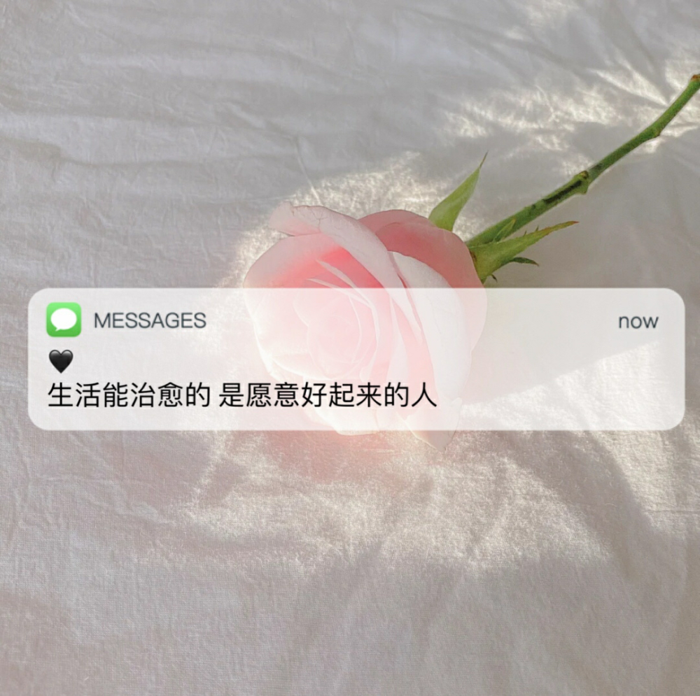 20. 有空多爱自己吧,不要指望别人,别人都很忙的.