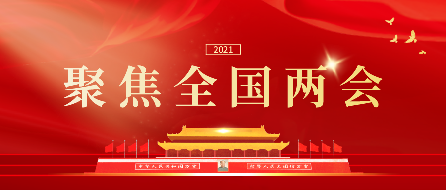 聚焦全国两会丨第十三届全国人民代表大会第四次会议关于最高人民检察