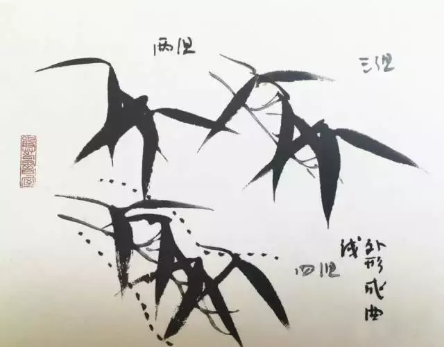 书画联盟丨学习画竹太全面了