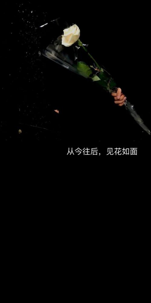 无水印黑色系文字壁纸愿你所遇皆所求