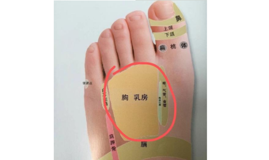 脚背上有一处,属于乳腺反射区.