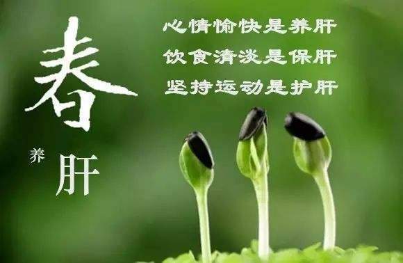 春季又是"百草回芽,百病易发"的季节,因此春季更应重视养生保健