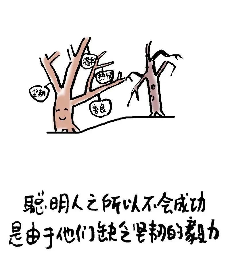 漫画牛顿名言