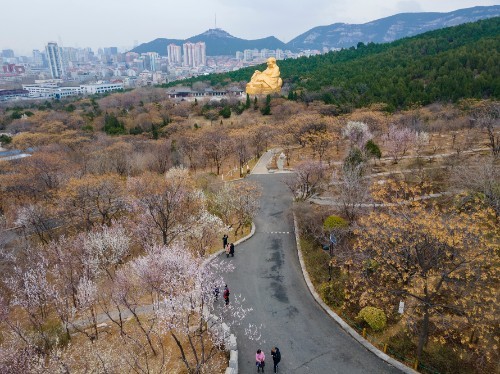 济南千佛山的桃花盛开吸引市民前来踏春赏花尽享春日美好时光