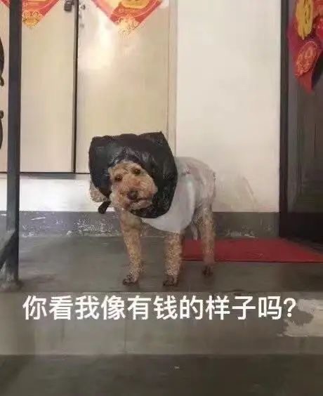 沙雕表情包 第50期