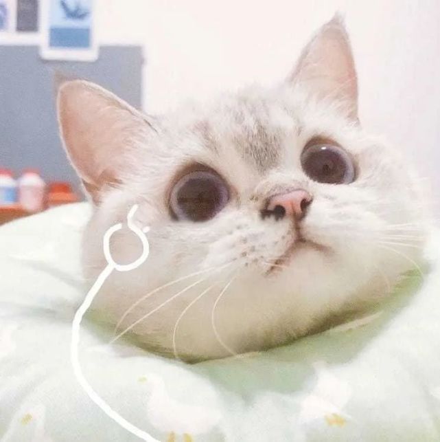 【今日份】一组表情包～giao
