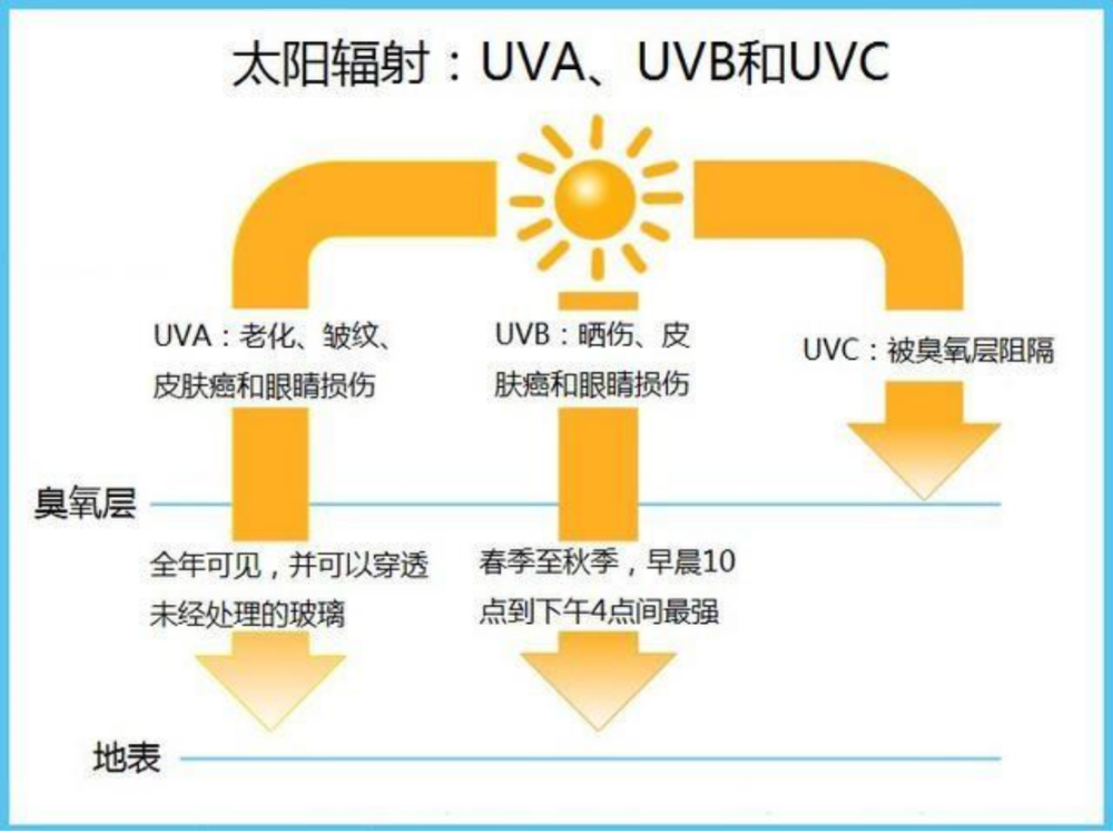 太阳光中的紫外线uva可以穿透皮肤表层达到真皮层,破坏真皮层中的弹性
