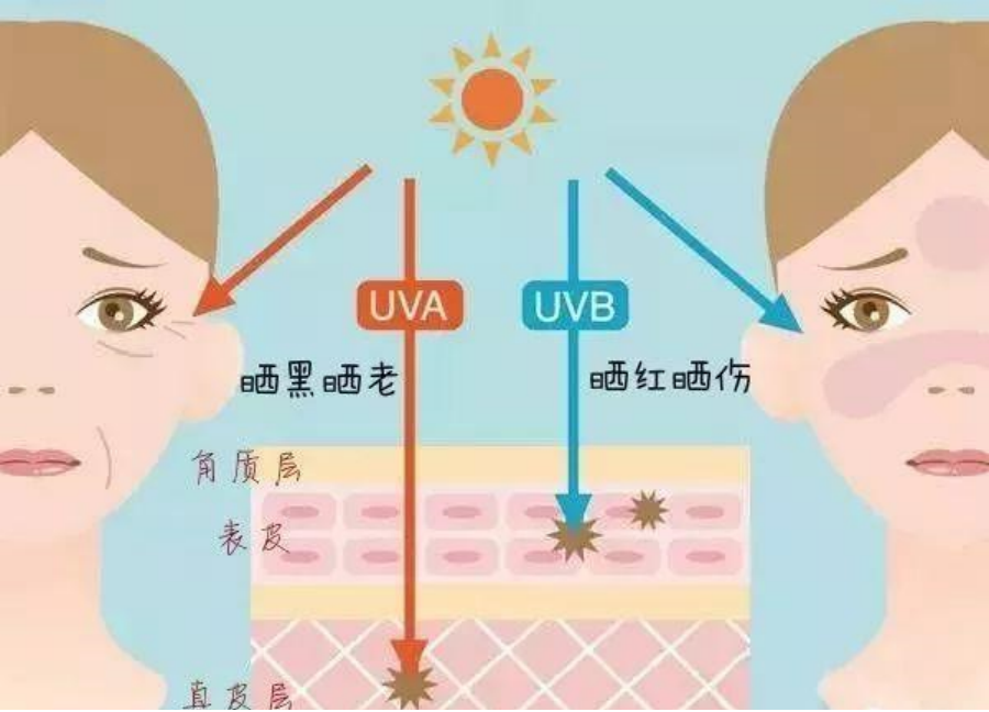 紫外线对肌肤的危害