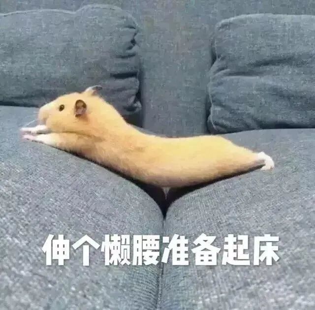 沙雕表情包动图我想你了你必须来找我玩了