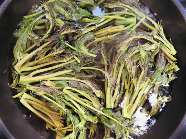 春天,遇到香椿芽别手软,做成香椿酱保存起来,学会还