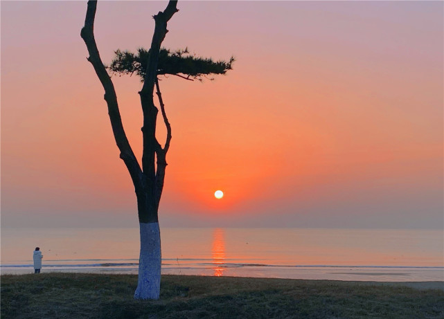 日照万平口景区及周边景点旅游攻略，值得期待的高质量游玩打卡地玩法_腾讯新闻