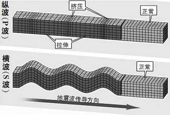 纵波与横波