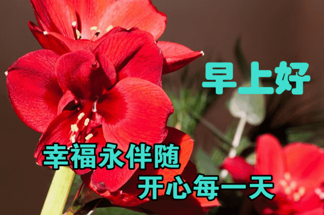 上班 踏过幸福桥,清风拂过忘忧草,发财小鸟为你叫,一路都是平安道,祝