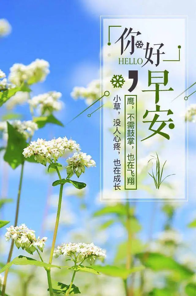 4月2日早上发朋友圈鼓舞人心的好句子