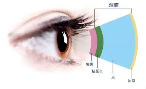 眼睛里没揉出来的脏东西最后都去哪里了