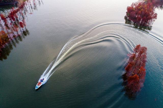 盱眙人均gdp_盱眙龙虾图片(3)