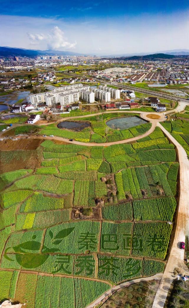 2021年油菜花节西乡主会场震撼全景图