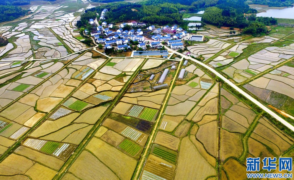 新余市城区人口_新余市地图全图(3)