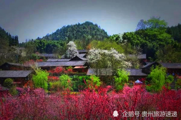 三生三世,十里桃花,来贵州这里邂逅桃花开