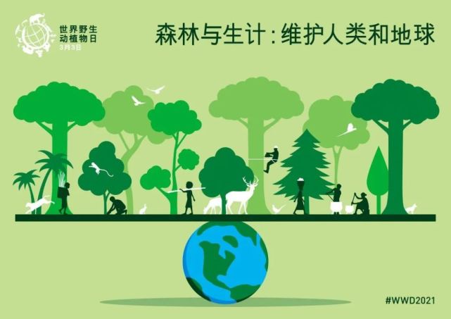 随州市自然资源和规划局在随州日报等主流媒体刊登野生动植物保护相关