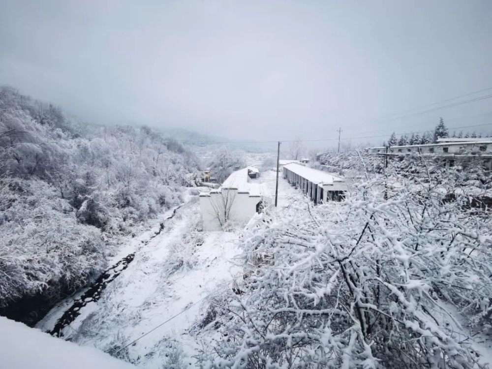 凤县岭南公园银装素裹 山涧枝头都挂上了积雪