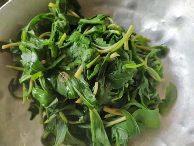 老上海人春季最爱的野菜之一,马兰头香干,清爽可口,做法简单