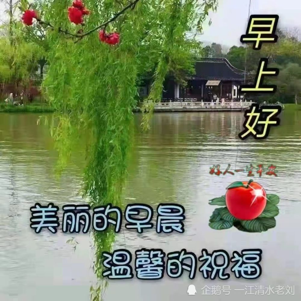 来自春天的问候早安吉祥