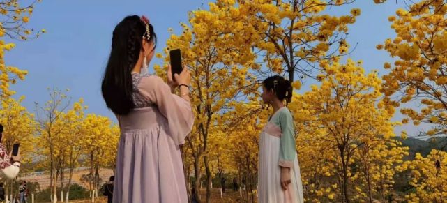 阳春三月,揭西这个网红公园引来众多游人踏青赏花