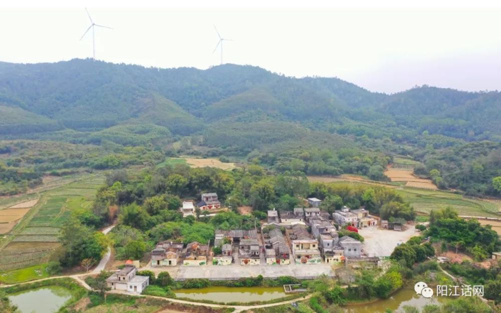 禾雀花欣赏名地-阳江市新洲镇禾叉坳村禾雀花美景_腾讯新闻