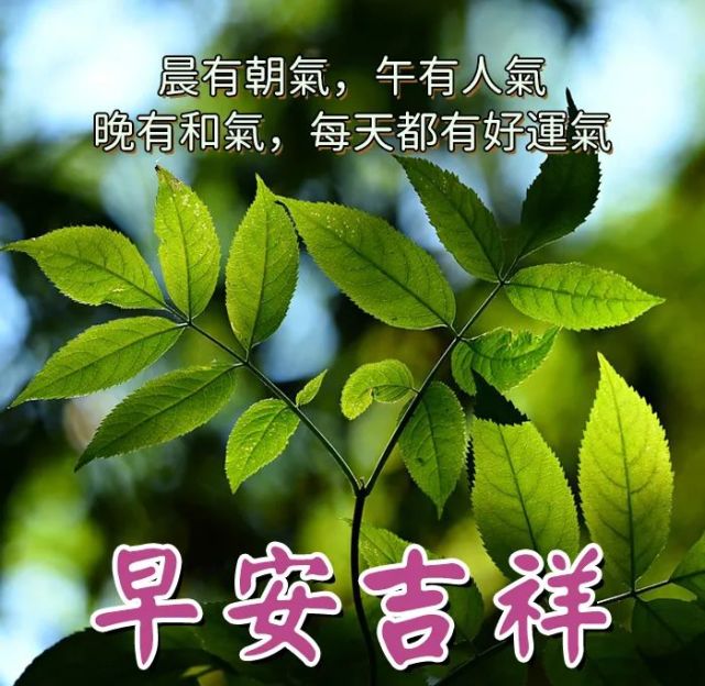 每日早安问候语 早上好祝福图片大全