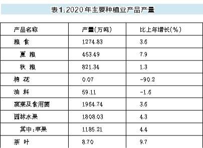 陕西铜川gdp2020_铜川市2020年国民经济和社会发展统计公报(3)