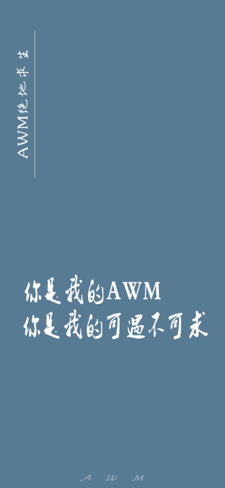 《awm绝地求生》经典语录