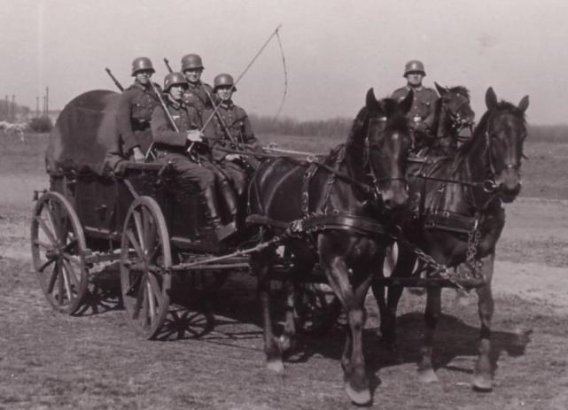 二战期间没地位的德军普通步兵连能分到多少匹骡马