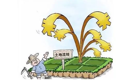 土地流转新规3月1日起正式实施有哪些新变化土地流转多少钱一亩