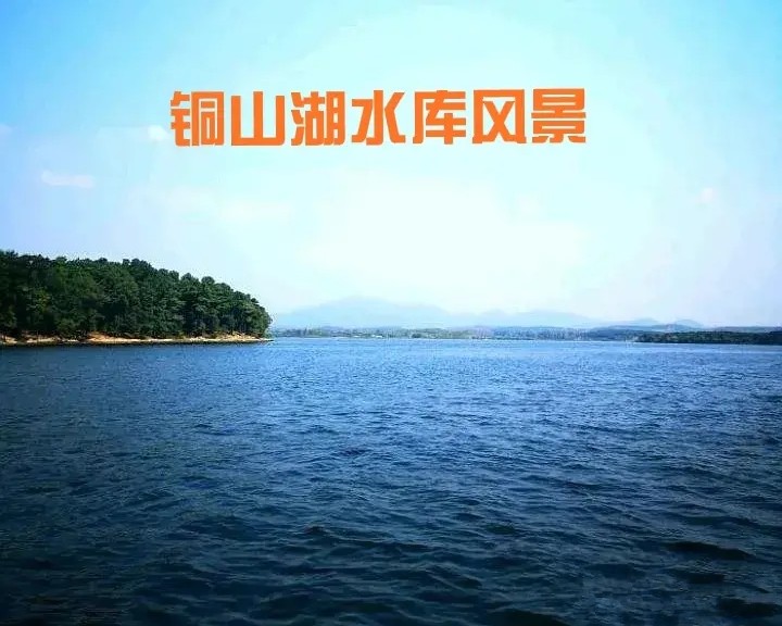 泌阳县不但水库数量多,知名的大型水库也很多,比如板桥水库,铜山湖