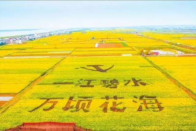 2021年湖南·临湘第三届江南油菜花节即将盛大开幕,get√这些看点