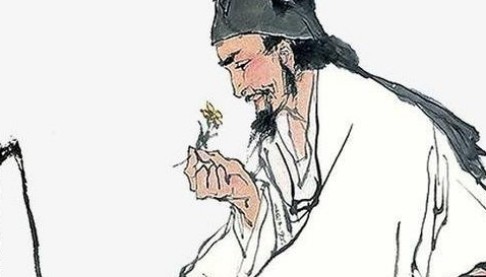 清朝人均寿命_中国人均寿命变化图(2)