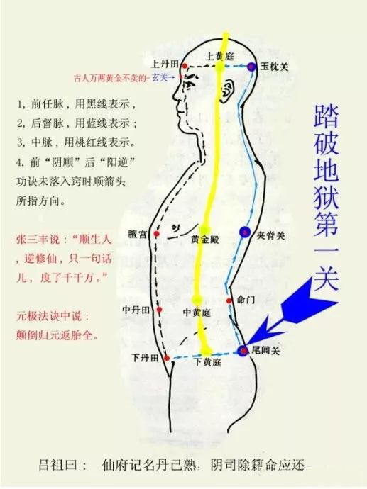 因祖国医学在论及穴位时,定名玉枕关,夹脊关之下的"尾椎"为"尾闾关"