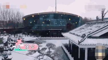 杨子妈妈因心疼黄圣依,劝她回老家工作,家中豪宅奢华大如体育馆