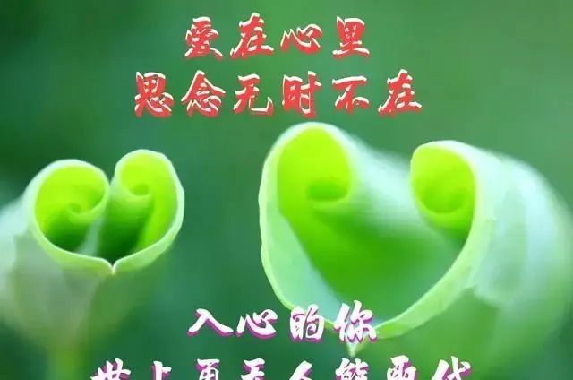 人口一增心牵挂 打一字_一曲 牵挂 听一次醉一次,太入心了,送给我牵挂的人(2)