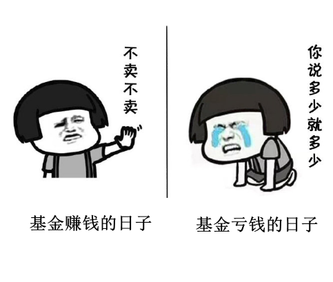 当我在闲鱼卖货时没有一只基金是无辜的