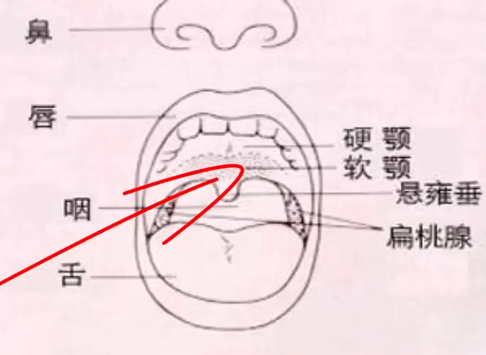 三个技巧改掉喉咙唱歌,让你音色好听十倍!