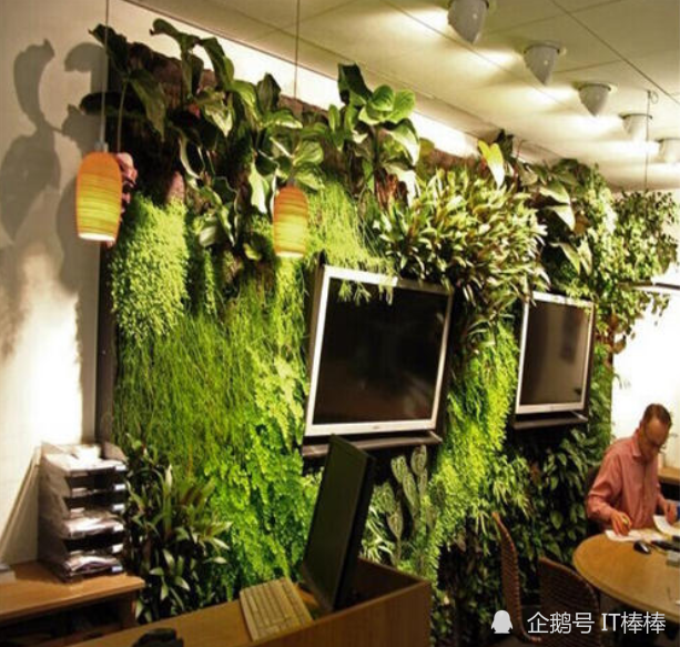 绿植墙价格-绿色植物墙走进哈佛，现在流行这样的学院设计！