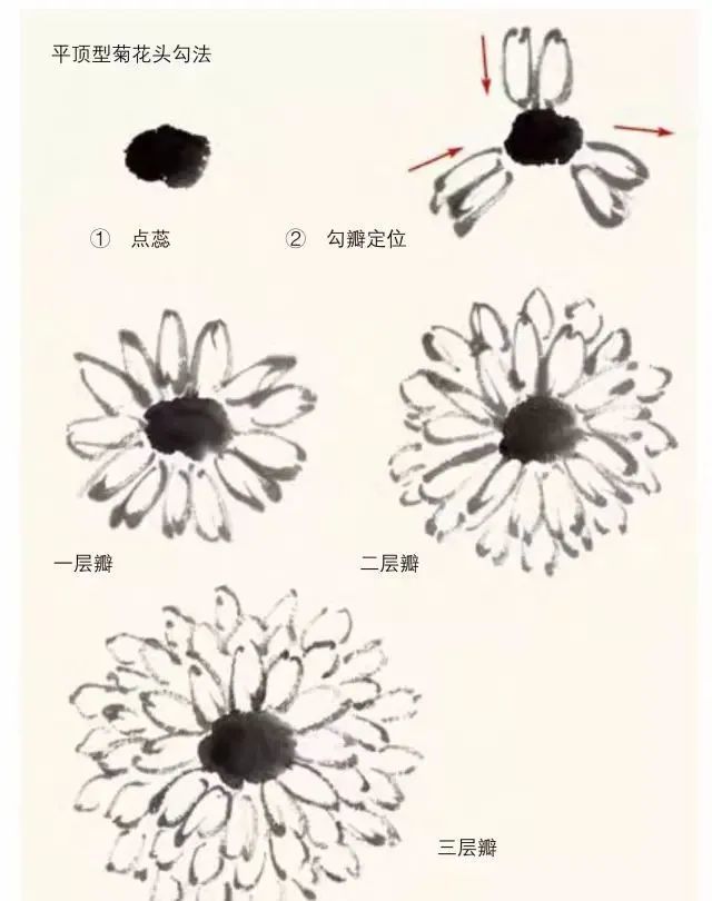 名家教你画菊花经典