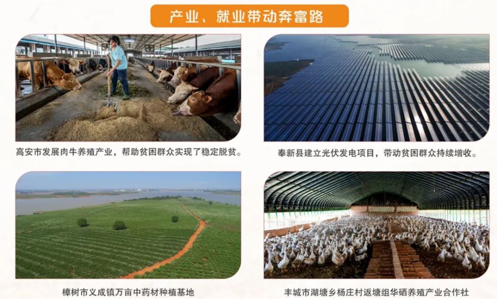 人口现象_中国营养不良人口现象(2)